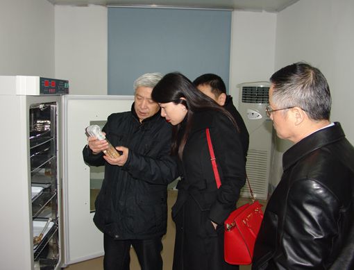 公司老总田_公司老总图片